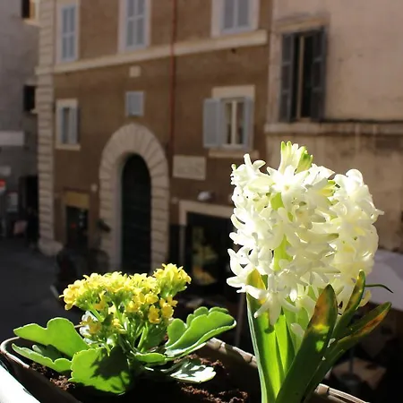 Hub Navona 4* Rom